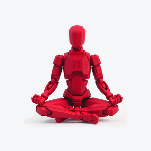 DM13-MUL-001 Dummy 13